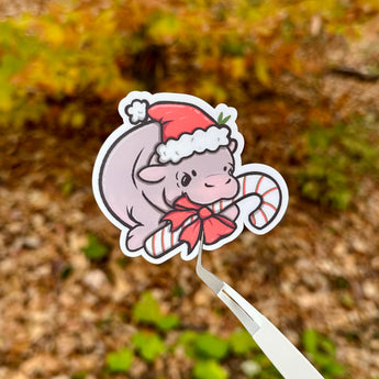 Winter Moo Deng Sticker